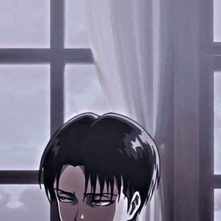 Levi PFP wallpaper