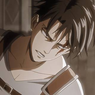 Levi PFP wallpaper