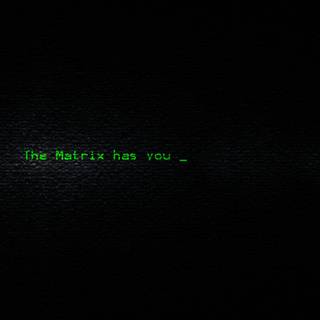 Escape The Matrix wallpaper