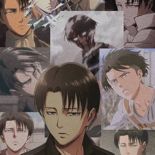Levi PFP wallpaper