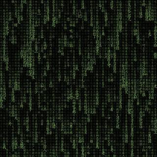 Escape The Matrix wallpaper