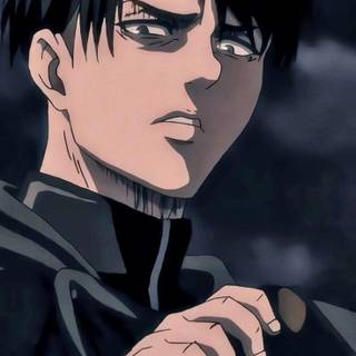 Levi PFP wallpaper