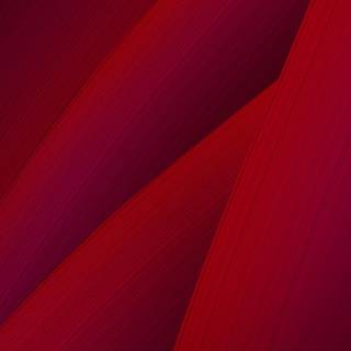Asus Zenfone Go wallpaper