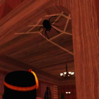 Timothy Doors wallpaper