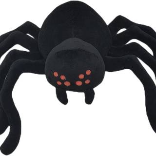 Timothy Doors wallpaper