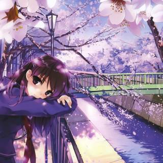 Spring Japan cartoons wallpaper