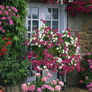 Farmhouse spring wallpaper