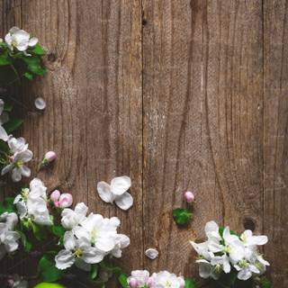 Farmhouse spring wallpaper