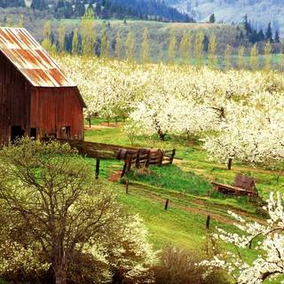 Farmhouse spring wallpaper
