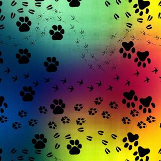 Dog prints wallpaper