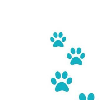 Dog prints wallpaper