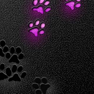 Dog prints wallpaper