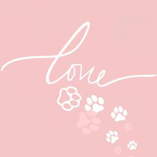 Dog prints wallpaper