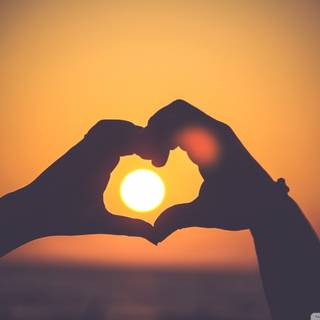 Hands together wallpaper