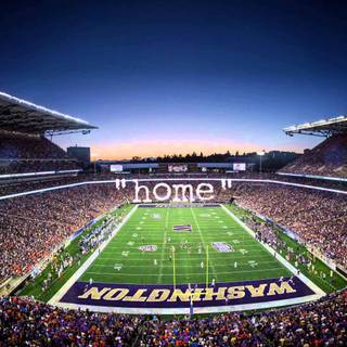Washington Huskies football wallpaper