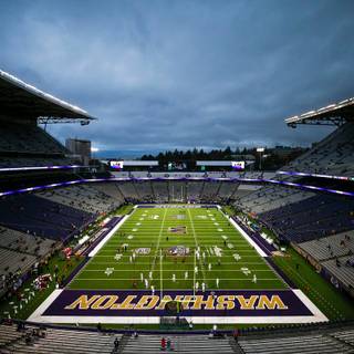 Washington Huskies football wallpaper