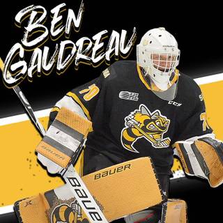 Sarnia Sting wallpaper