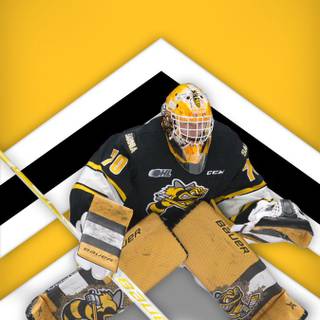 Sarnia Sting wallpaper