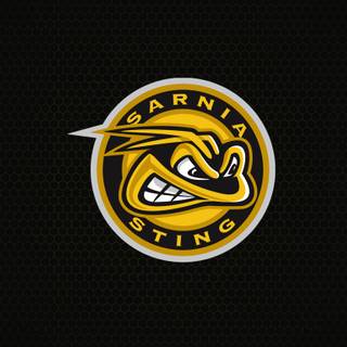 Sarnia Sting wallpaper