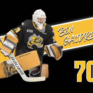 Sarnia Sting wallpaper