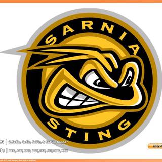 Sarnia Sting wallpaper