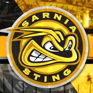 Sarnia Sting wallpaper