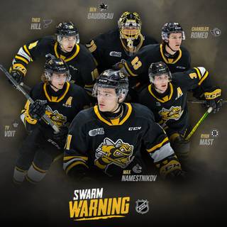 Sarnia Sting wallpaper