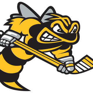 Sarnia Sting wallpaper