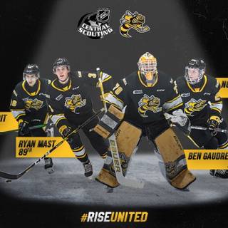 Sarnia Sting wallpaper