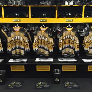 Sarnia Sting wallpaper