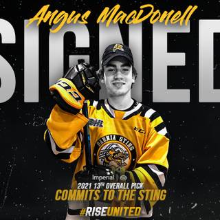 Sarnia Sting wallpaper