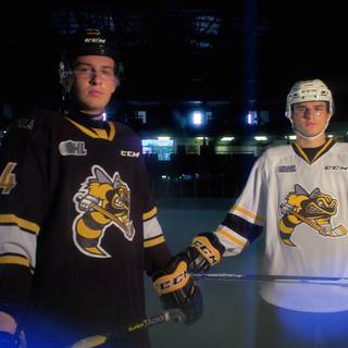 Sarnia Sting wallpaper