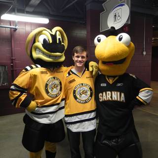 Sarnia Sting wallpaper