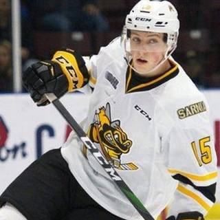 Sarnia Sting wallpaper