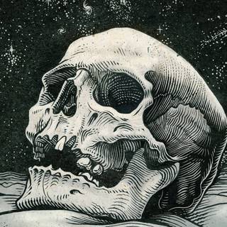 Bones and skull wallpaper