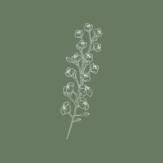 Spring minimalist green wallpaper