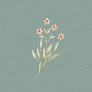 Spring minimalist green wallpaper