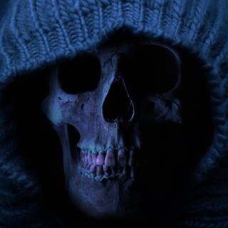 Bones and skull wallpaper