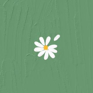 Spring minimalist green wallpaper