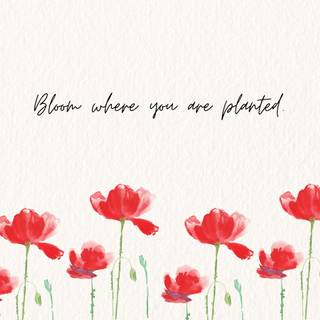 Spring motivational wallpaper