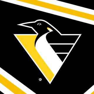 Pittsburgh Penguins 2023 wallpaper