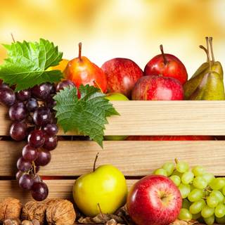 Fruit bowl wallpaper