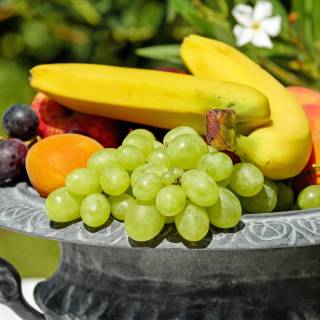 Fruit bowl wallpaper
