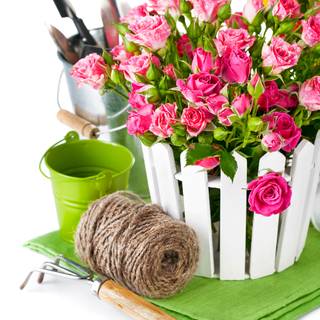 Flower bucket wallpaper