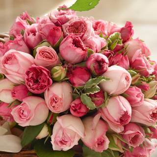 Flower bucket wallpaper