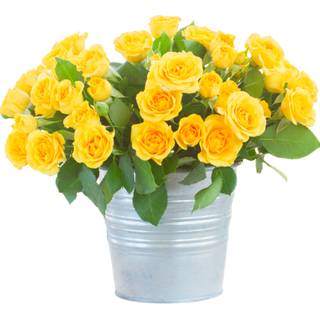 Flower bucket wallpaper