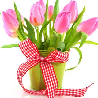 Flower bucket wallpaper