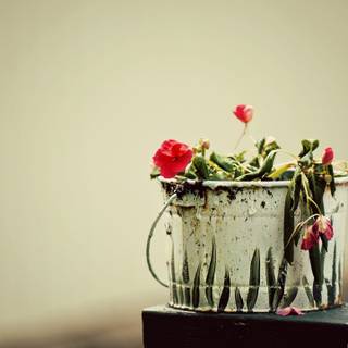 Flower bucket wallpaper