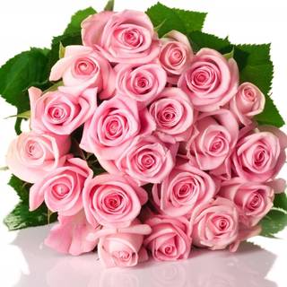 Flower bucket wallpaper