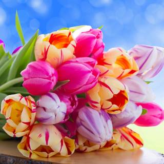 Flower bucket wallpaper